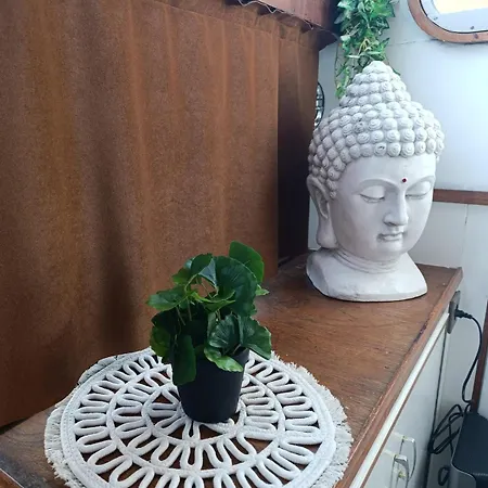 Evasion Romantique Sur Le Rhône * Valence (Drome)