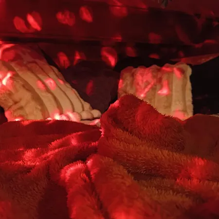 Evasion Romantique Sur Le Rhone Botel Valence (Drome)