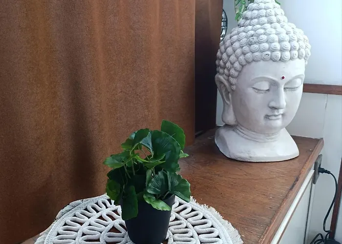 Evasion Romantique Sur Le Rhone * Valence (Drome)