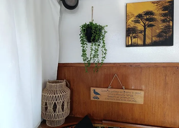 Botel Evasion Romantique Sur Le Rhone